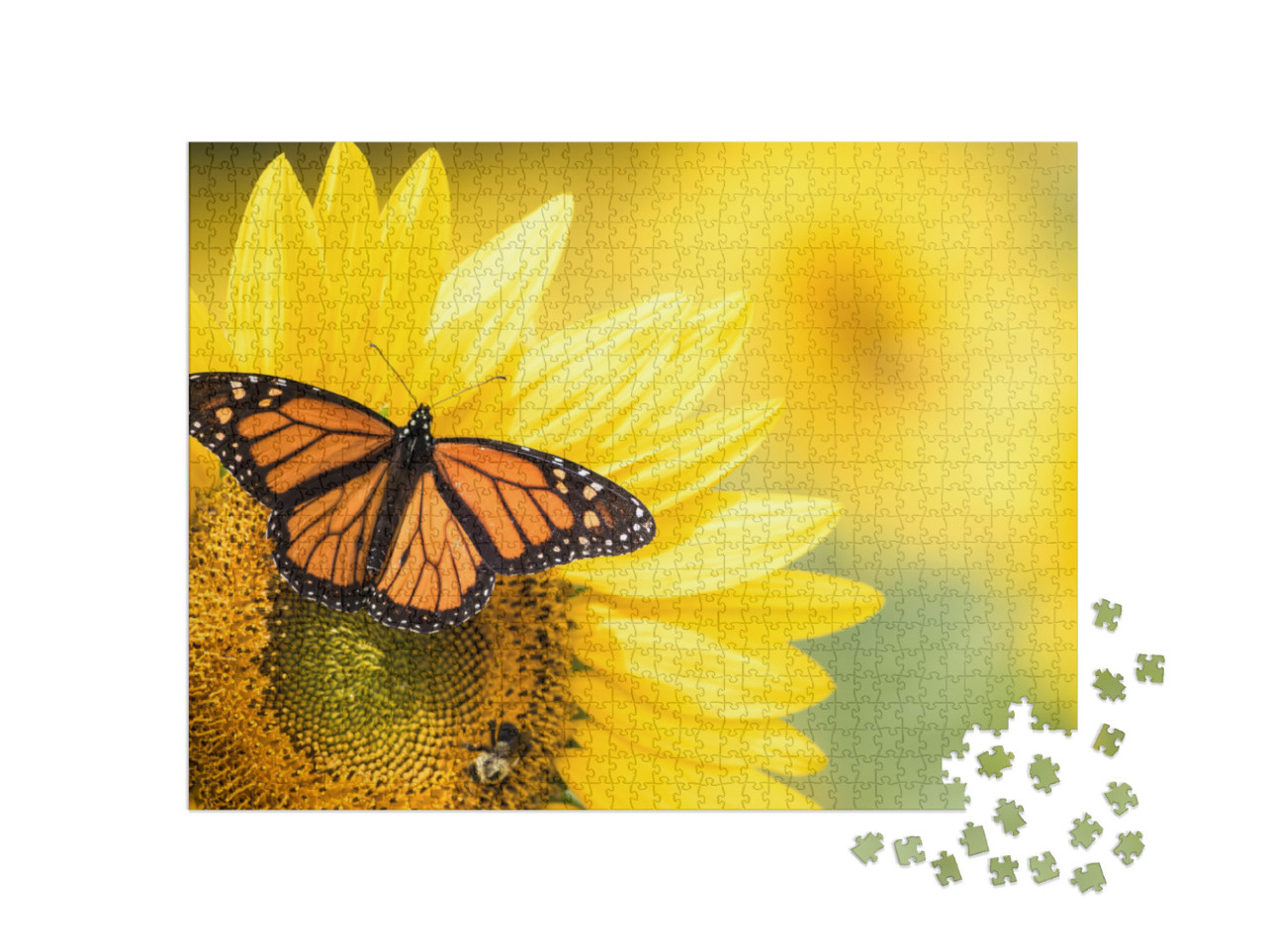 Monarch Butterfly, Danaus Plexippus, on Bright Yellow Sun... Jigsaw Puzzle with 1000 pieces