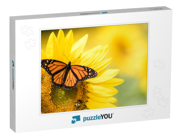 Monarch Butterfly, Danaus Plexippus, on Bright Yellow Sun... Jigsaw Puzzle