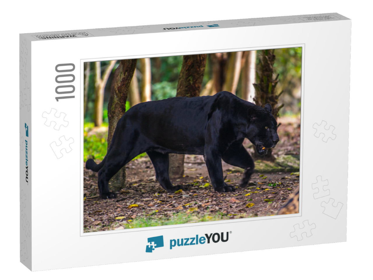 Black Panther Walks Through the Jungle... Jigsaw Puzzle with 1000 pieces