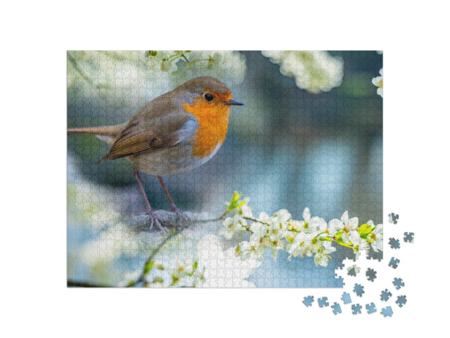 Red Robin Erithacus Rubecula Bird Close Up in the Spring... Jigsaw Puzzle with 1000 pieces