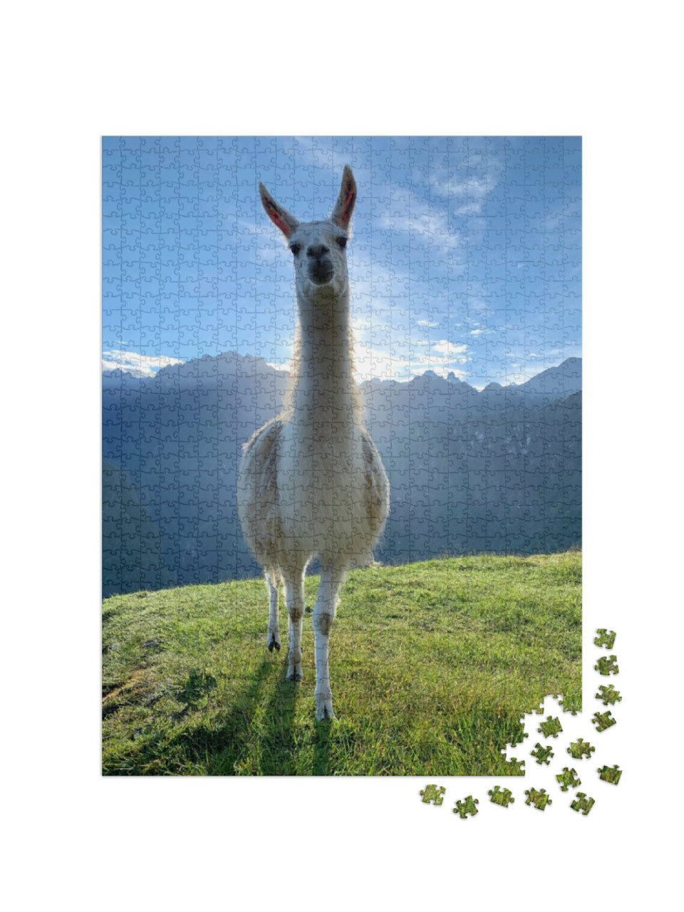 White Llama on Green Grass Lawn Terrace Machu Picchu, Bea... Jigsaw Puzzle with 1000 pieces