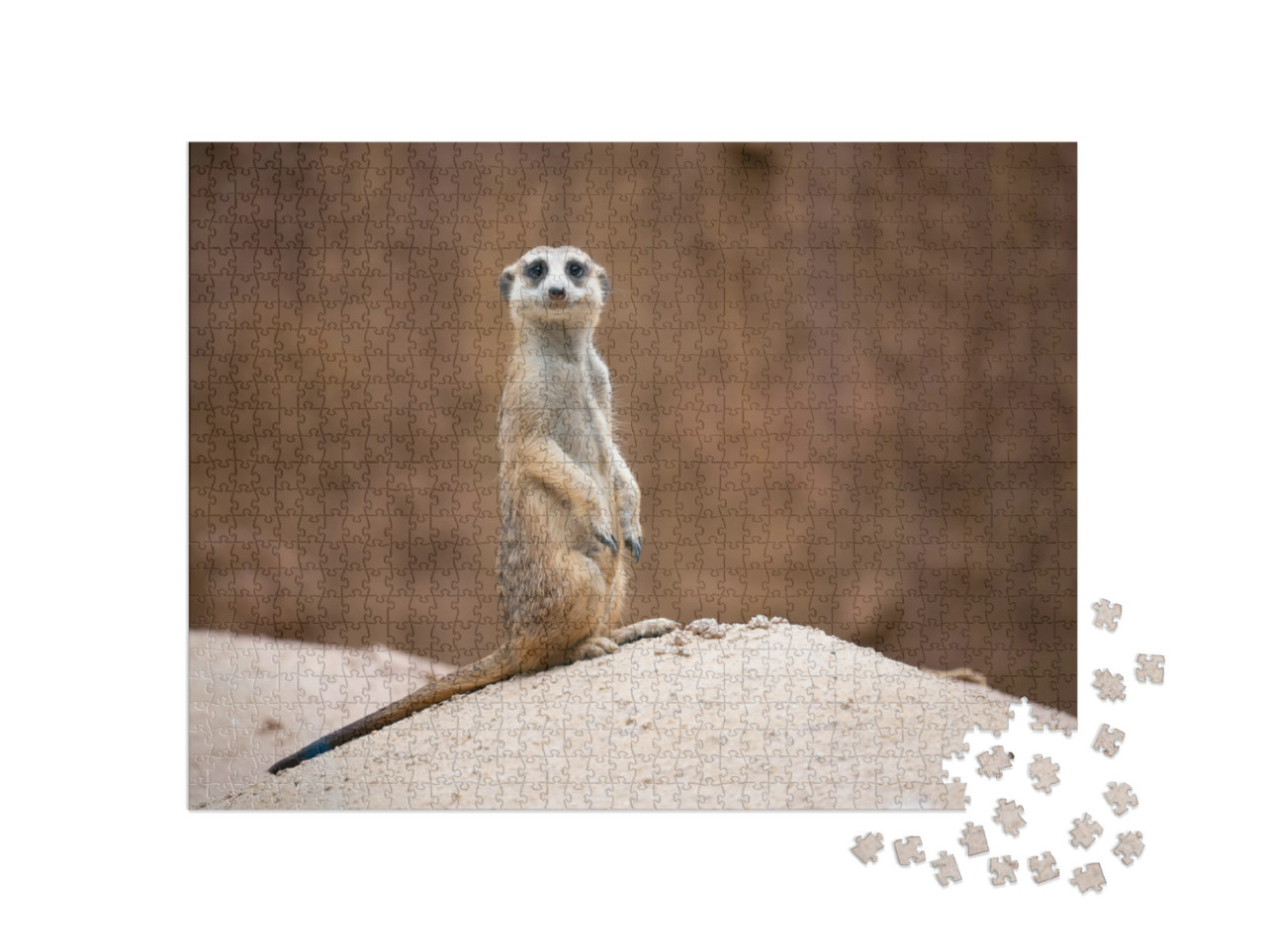 Cute Meerkat Suricata Suricatta Standing on the Rock... Jigsaw Puzzle with 1000 pieces