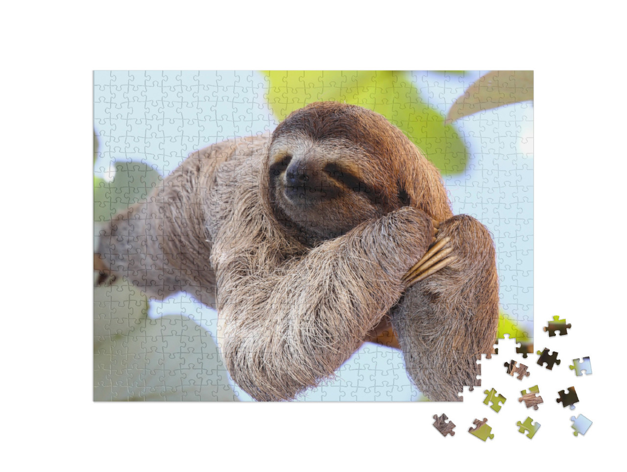 Happy Sloth Hanging on the Tree... Jigsaw Puzzle with 500 pieces