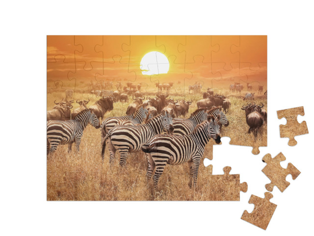 Zebra At Sunset in the Serengeti National Park. Africa. T... Jigsaw Puzzle with 48 pieces