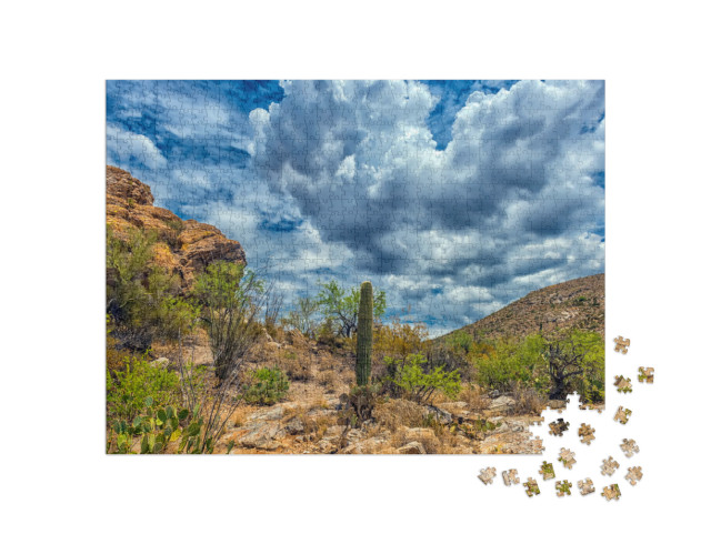 Desert Landscape in Saguaro National Park... Jigsaw Puzzle with 1000 pieces