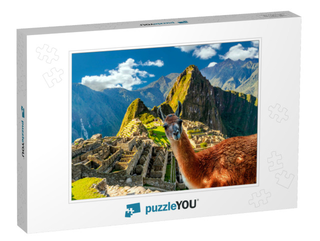 Funny Scene with Llama Standing At Machu Picchu Overlook... Jigsaw Puzzle