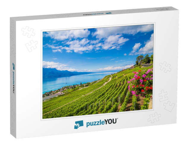 Beautiful Scenery with Rows of Vineyard Terraces in Famou... Jigsaw Puzzle