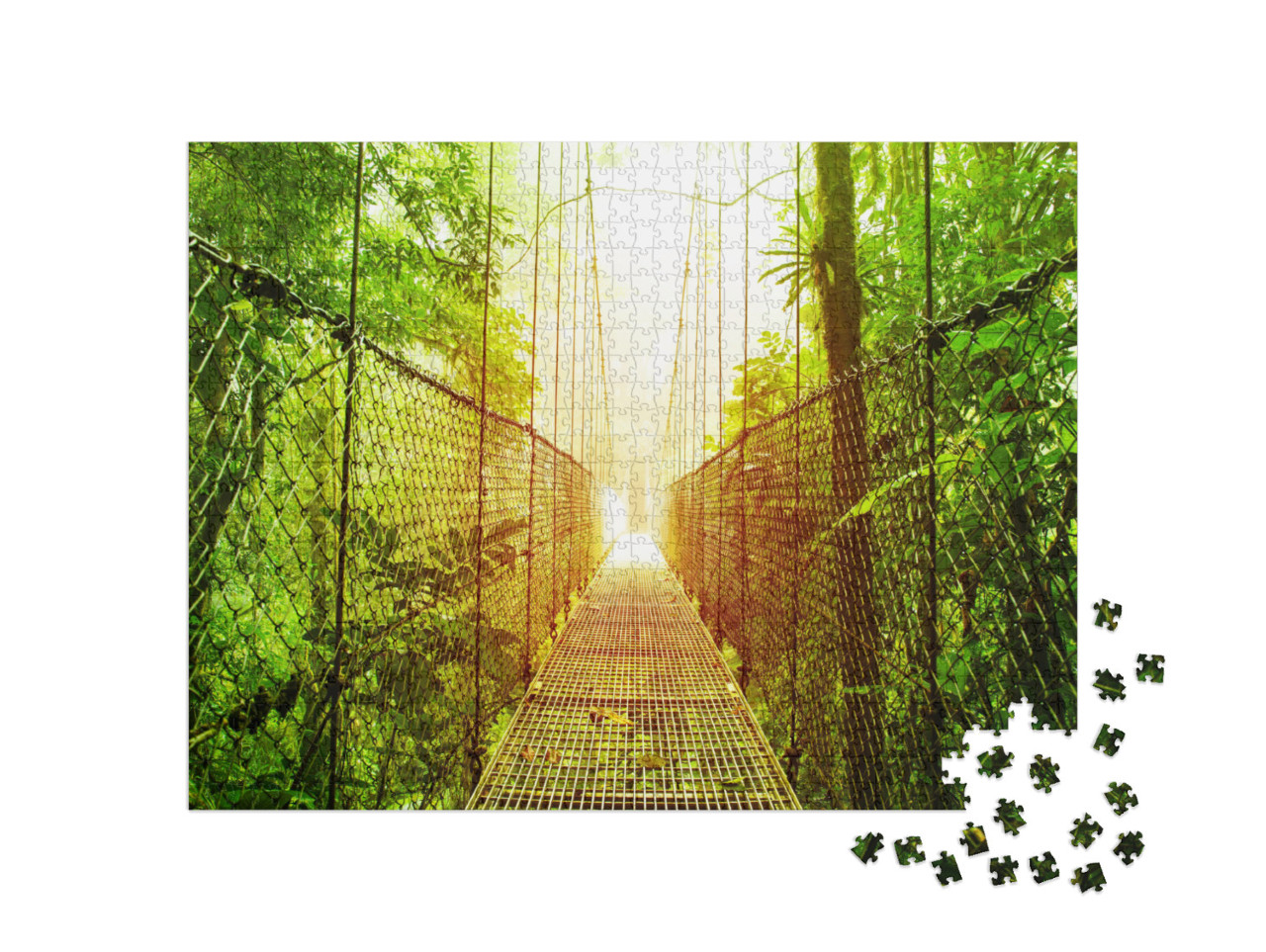 Picture of Arenal Hanging Bridges Ecological Reserve, Nat... Jigsaw Puzzle with 1000 pieces