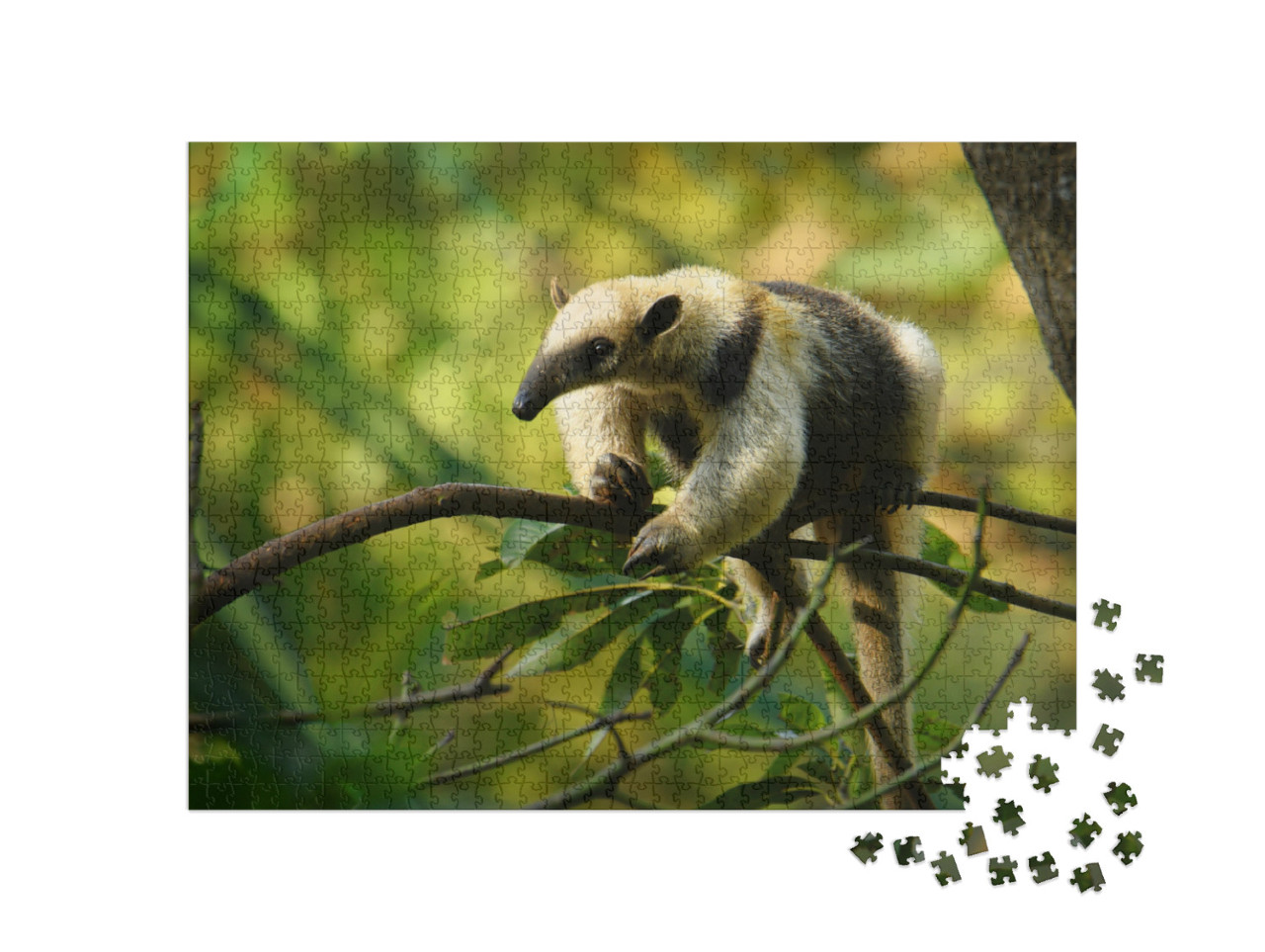 Northern Tamandua - Tamandua Mexicana Species of Anteater... Jigsaw Puzzle with 1000 pieces