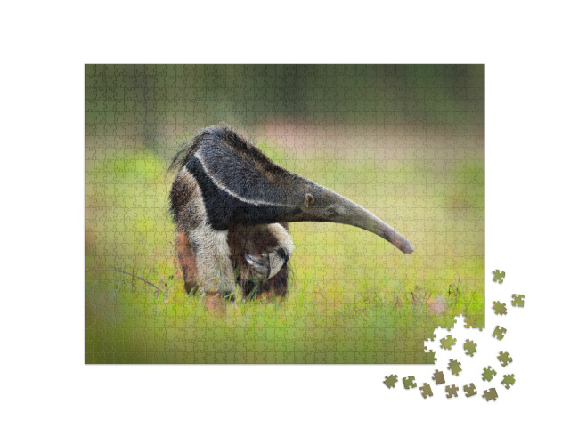 Anteater, Cute Animal from Brazil. Giant Anteater, Myrmec... Jigsaw Puzzle with 1000 pieces