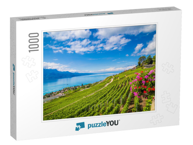 Beautiful Scenery with Rows of Vineyard Terraces in Famou... Jigsaw Puzzle with 1000 pieces