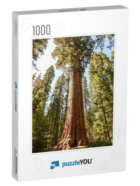 General Sherman Tree in Sequoia National Park, California... Jigsaw Puzzle with 1000 pieces