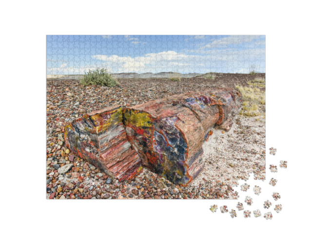 The Crystal Forest in the Petrified Forest National Park... Jigsaw Puzzle with 1000 pieces