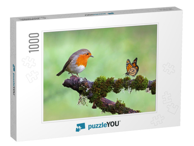 Beautiful Background Image of a Wild Robin Erithacus Rube... Jigsaw Puzzle with 1000 pieces