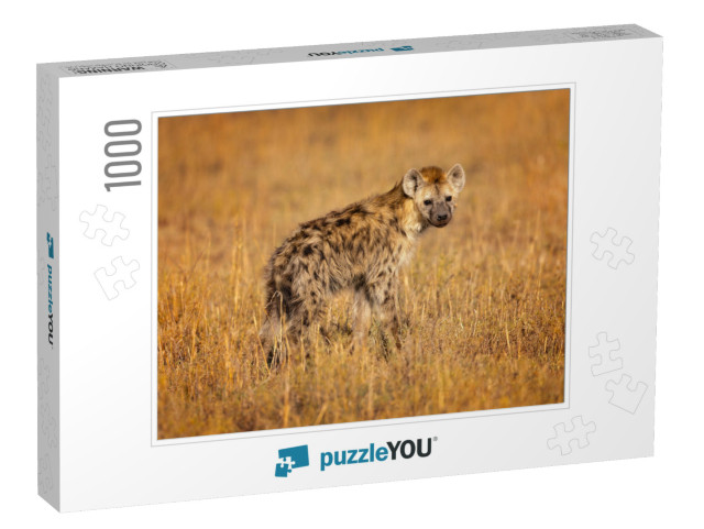 Spotted Hyena Crocuta Crocuta, Also Known as the Laughing... Jigsaw Puzzle with 1000 pieces