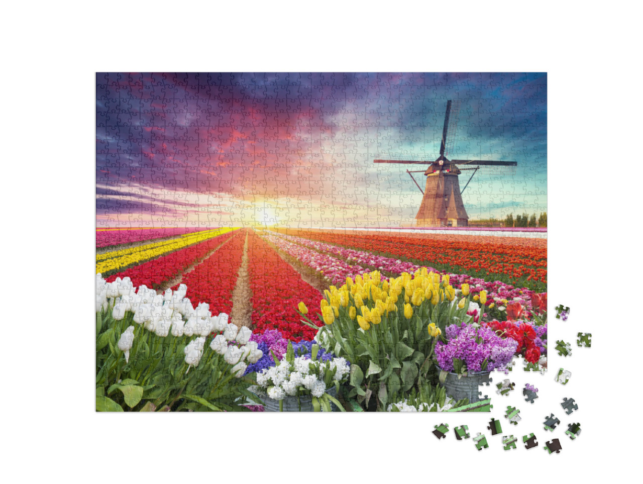 Landscape with Tulips, Traditional Dutch Windmills & Hous... Jigsaw Puzzle with 1000 pieces