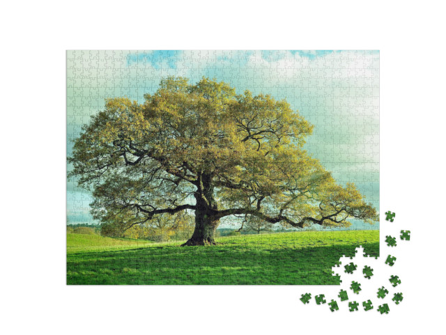 Old Oak Tree in an English Meadow... Jigsaw Puzzle with 1000 pieces