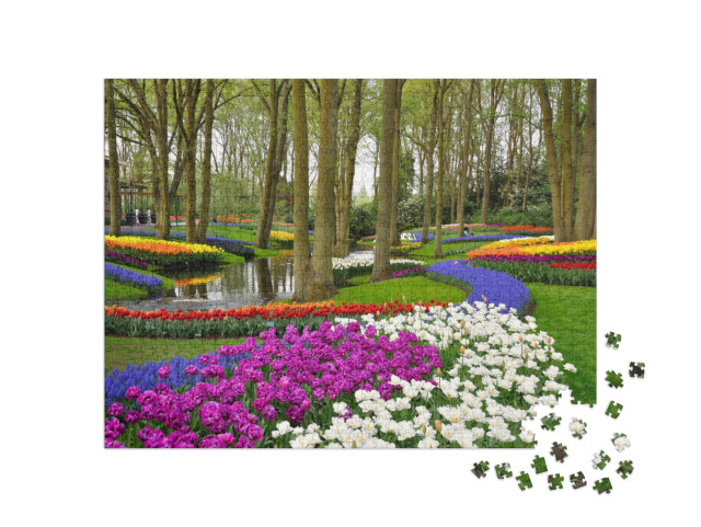 Colorful Blooming Tulips in Keukenhof Park in Holland... Jigsaw Puzzle with 1000 pieces