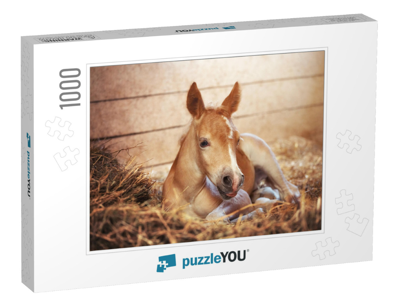 Beautiful Haflinger Foal - Horse Photo... Jigsaw Puzzle with 1000 pieces