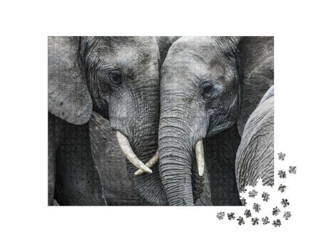 Elephants... Jigsaw Puzzle with 1000 pieces