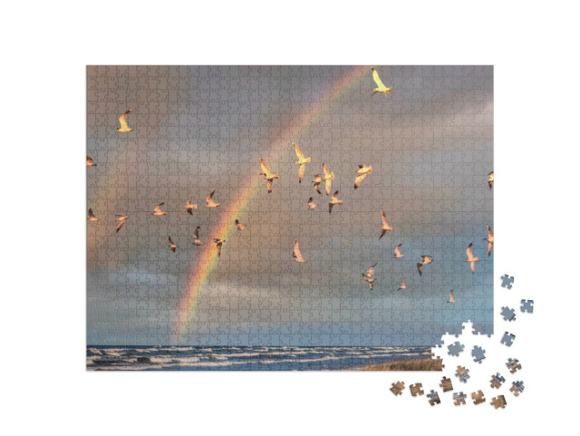 Birds Over a Baltic Sea Beach on a Sunny Day with Rainbow... Jigsaw Puzzle with 1000 pieces