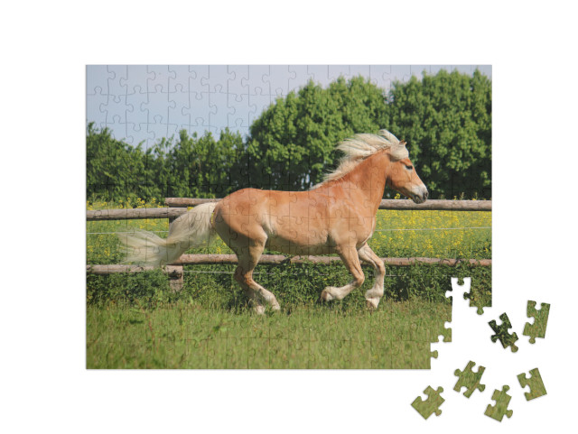 Beautiful Haflinger Horse is Running on the Paddock in th... Jigsaw Puzzle with 200 pieces