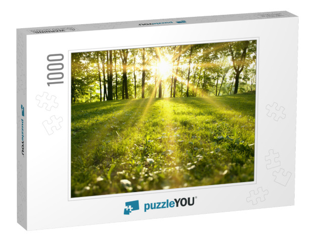 Sunlight in the Green Forest, Spring Time... Jigsaw Puzzle with 1000 pieces