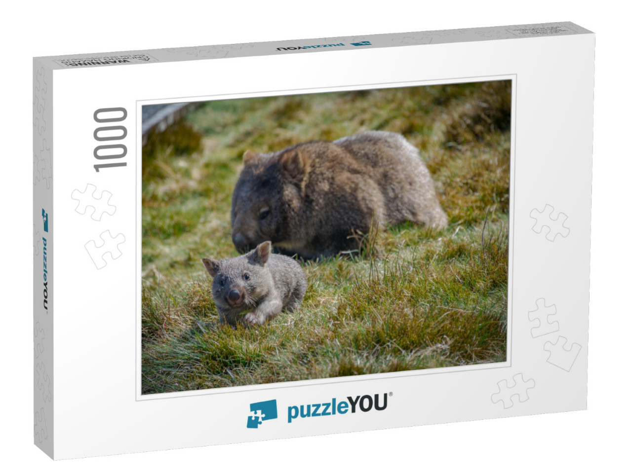 Joey Wombat Running from Its Mother in Cradle Mountain, T... Jigsaw Puzzle with 1000 pieces