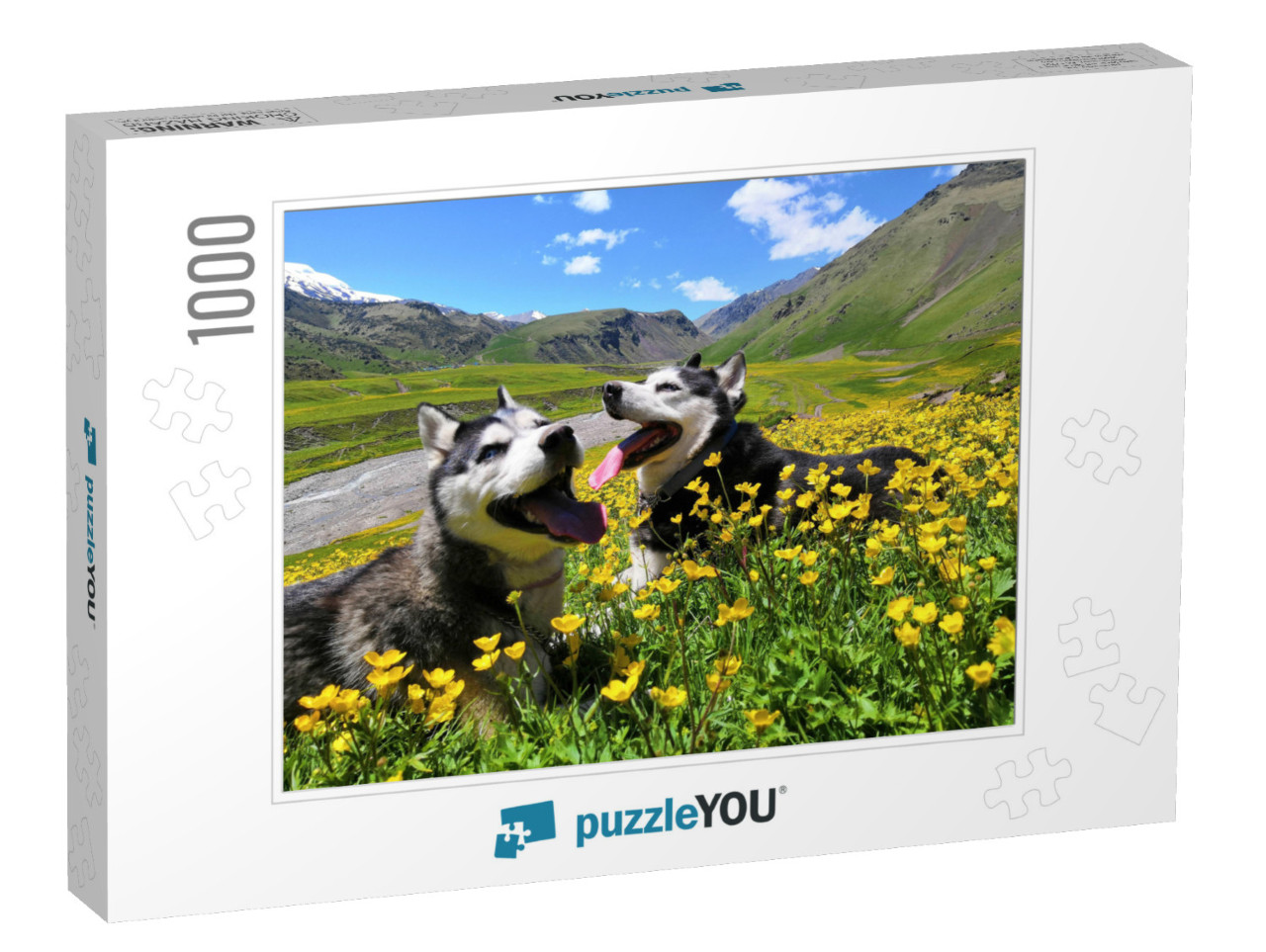 Two Siberian Husky Dogs on a Walk in the Mountains in Sum... Jigsaw Puzzle with 1000 pieces