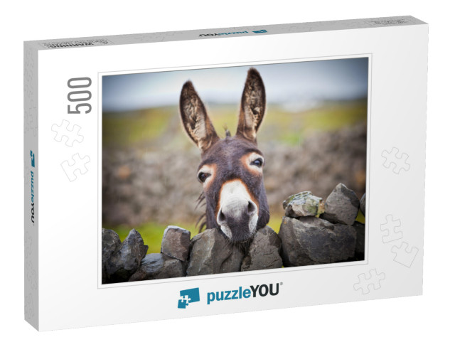 A Nice Donkey Under the Rain. Aran Islands, Ireland... Jigsaw Puzzle with 500 pieces