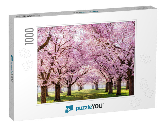 Sakura Cherry Blossoming Alley. Wonderful Scenic Park wit... Jigsaw Puzzle with 1000 pieces