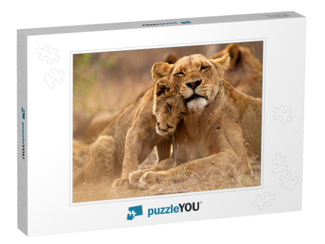 Predator's Love. Lioness & Cub in the Kruger Np, South Af... Jigsaw Puzzle