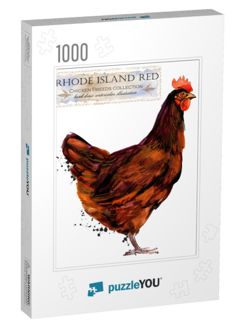 Rhode Island Red Hen. Poultry Farming. Chicken Breeds Ser... Jigsaw Puzzle with 1000 pieces