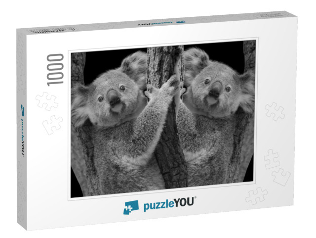 Two Cute Koala Bear Sitting on the Tree... Jigsaw Puzzle with 1000 pieces