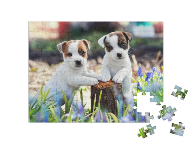 Two White Puppy Jack Russell Terrier Standing on Tree Stu... Jigsaw Puzzle with 100 pieces