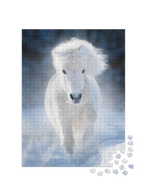 White Fluffy Shetland Pony Runs Free in Winter Meadow... Jigsaw Puzzle with 1000 pieces