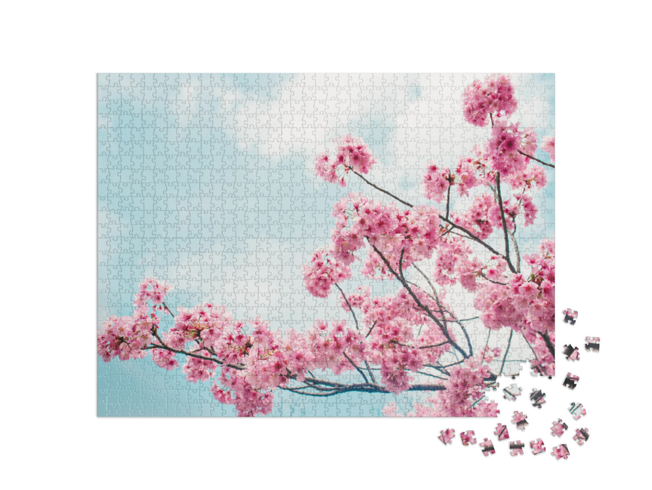 Beautiful Cherry Blossom Sakura in Spring Time Over Blue... Jigsaw Puzzle with 1000 pieces