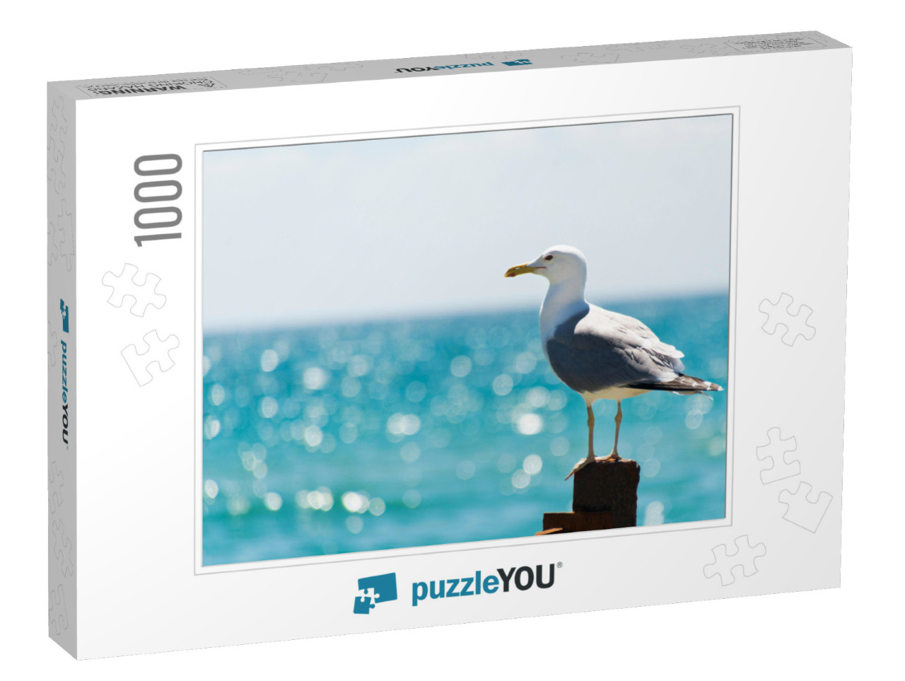 The Seagull Sits on a White Fence. Wings of a Bird... Jigsaw Puzzle with 1000 pieces