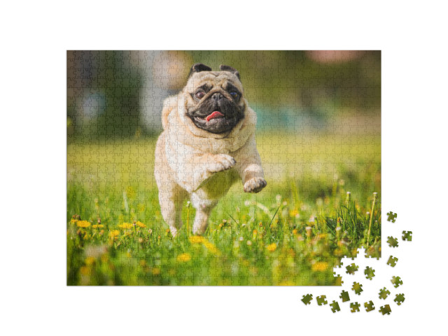 Dog, Pug, Animal, Puppy, Pet, Canine, Cute, Breed, Bulldo... Jigsaw Puzzle with 1000 pieces