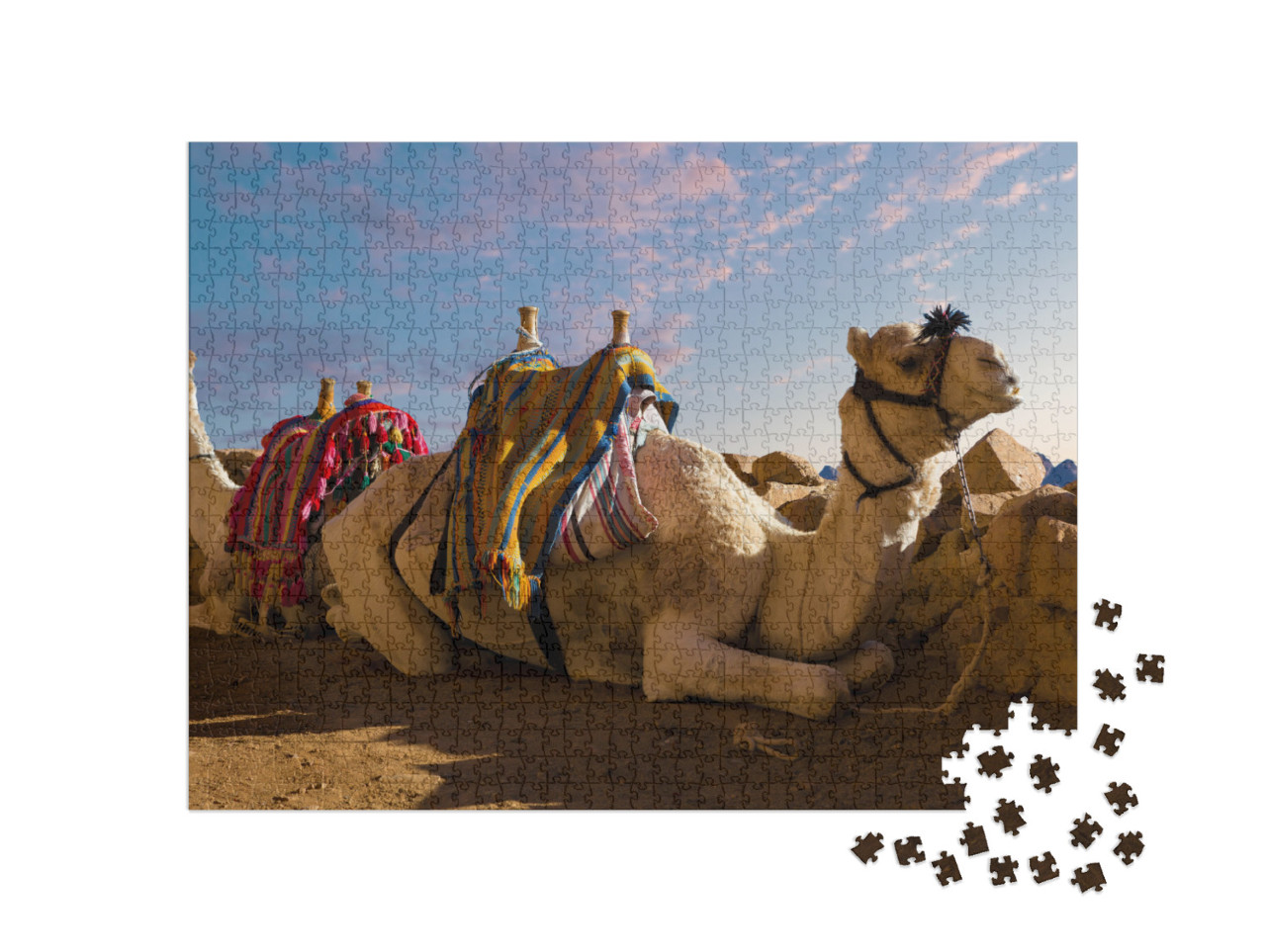 Dromedar Camel on the Background of the Mountain of St. M... Jigsaw Puzzle with 1000 pieces