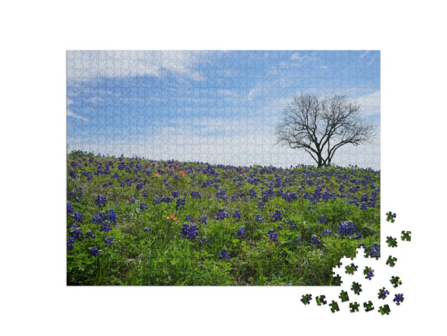 Patch of Bluebonnet Wildflowers with Green Country Backgr... Jigsaw Puzzle with 1000 pieces