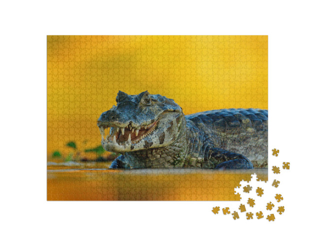 Yacare Caiman, Pantanal, Brazil. Detail Portrait of Dange... Jigsaw Puzzle with 1000 pieces