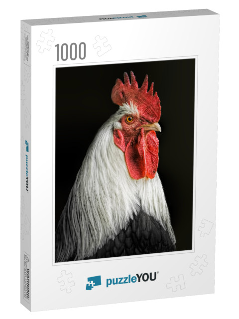 Portrait of a Rooster with a Black Background... Jigsaw Puzzle with 1000 pieces