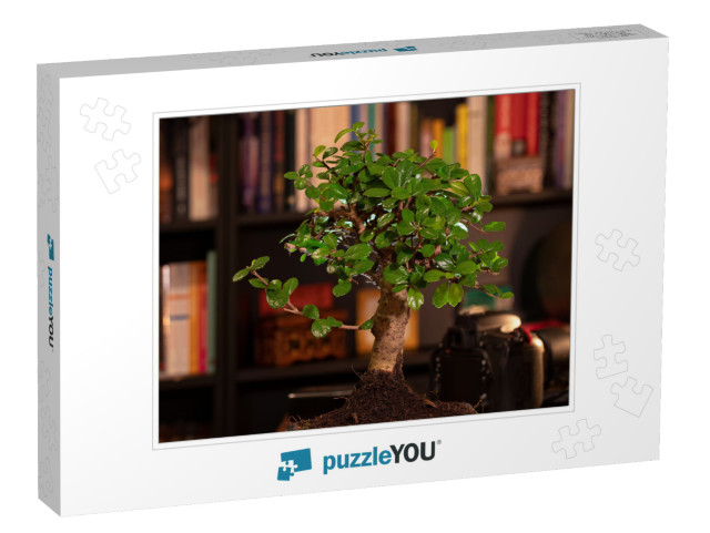 High Quality Photo, Bonsai Tree in the Study, Background... Jigsaw Puzzle