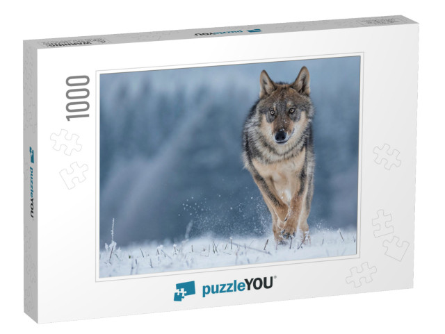 Wolf Runnin in Snow... Jigsaw Puzzle with 1000 pieces