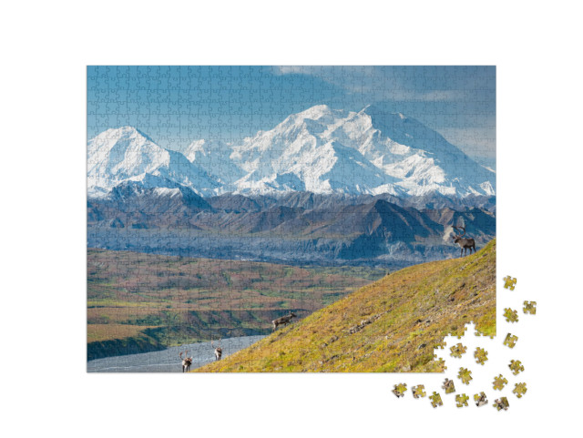 Caribou Deer in Front of Mount Denali, Denali Np, Alaska... Jigsaw Puzzle with 1000 pieces