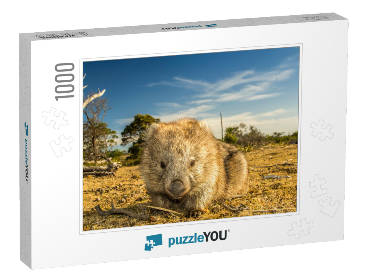 Maria Island, Tasmania, Australia- March 2019 Wombat Vomb... Jigsaw Puzzle with 1000 pieces