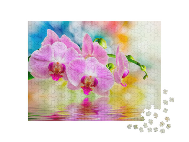 Close Up of Beautiful Plant Orchid Flower... Jigsaw Puzzle with 1000 pieces