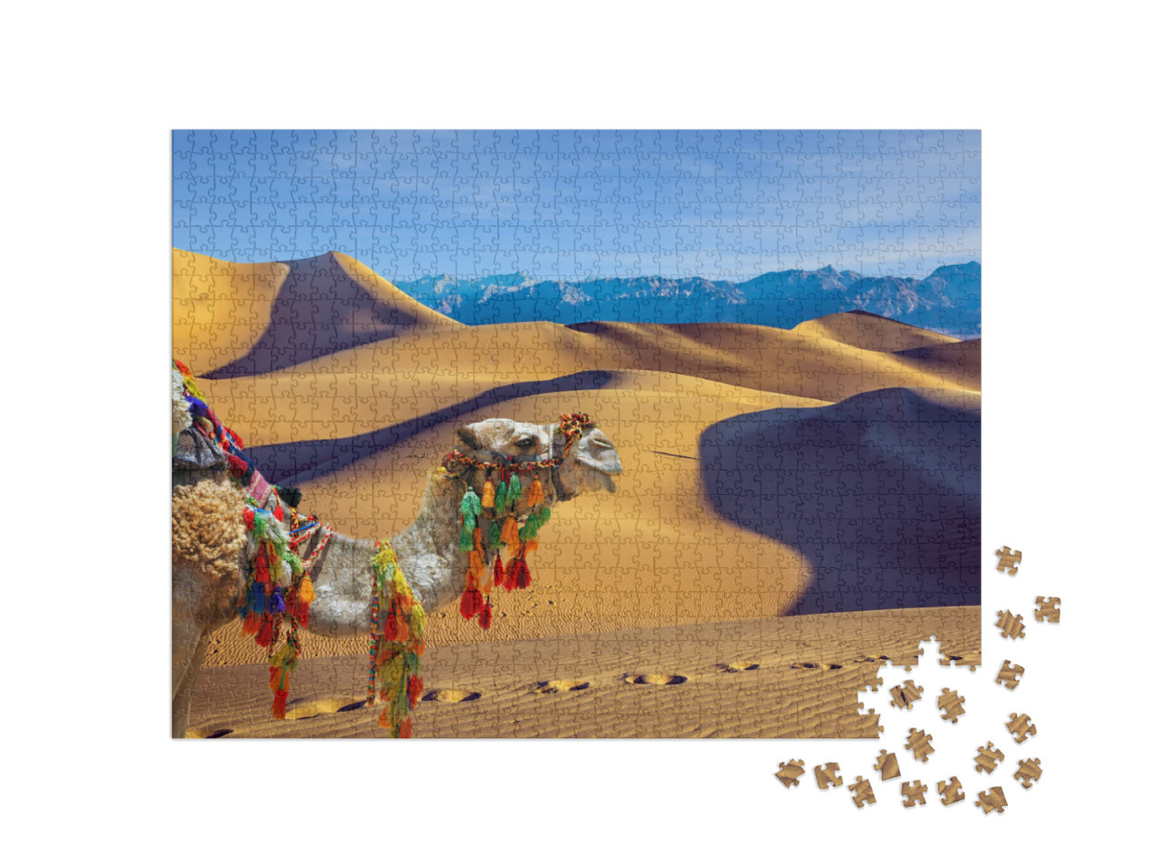 Magnificent One-Humped Camel - Dromedar. the Camel is Bea... Jigsaw Puzzle with 1000 pieces