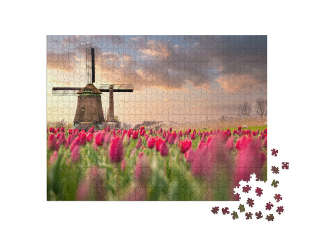 Tulip Fields & Windmill in Netherland, Near Lisse... Jigsaw Puzzle with 1000 pieces